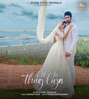 Dil Ko Thug Liya - Shaan, Muskaan
