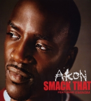 Smack That - Akon ft. Eminem