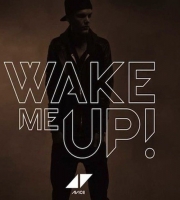 Wake Me Up - Avicii