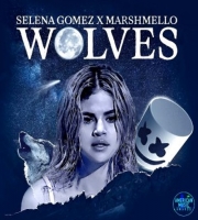 Wolves - Selena Gomez, Marshmello