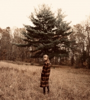 Willow Song - Taylor Swift