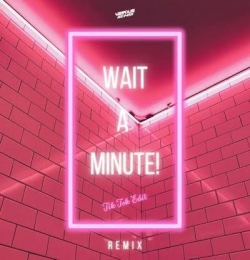 Wait A Minute (Tik Tok Edit) (Remix)