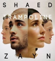 Trampoline - Zayn Malik